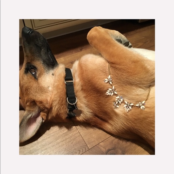 THANK YOU_ Rest in peace my love - Picture 7 of 12